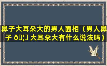 鼻子大耳朵大的男人面相（男人鼻子 🦍 大耳朵大有什么说法吗）